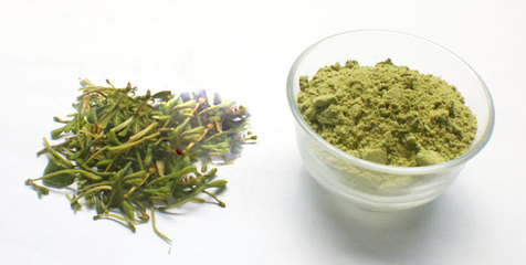 上品金银花茶粉 品味自然的清凉之选